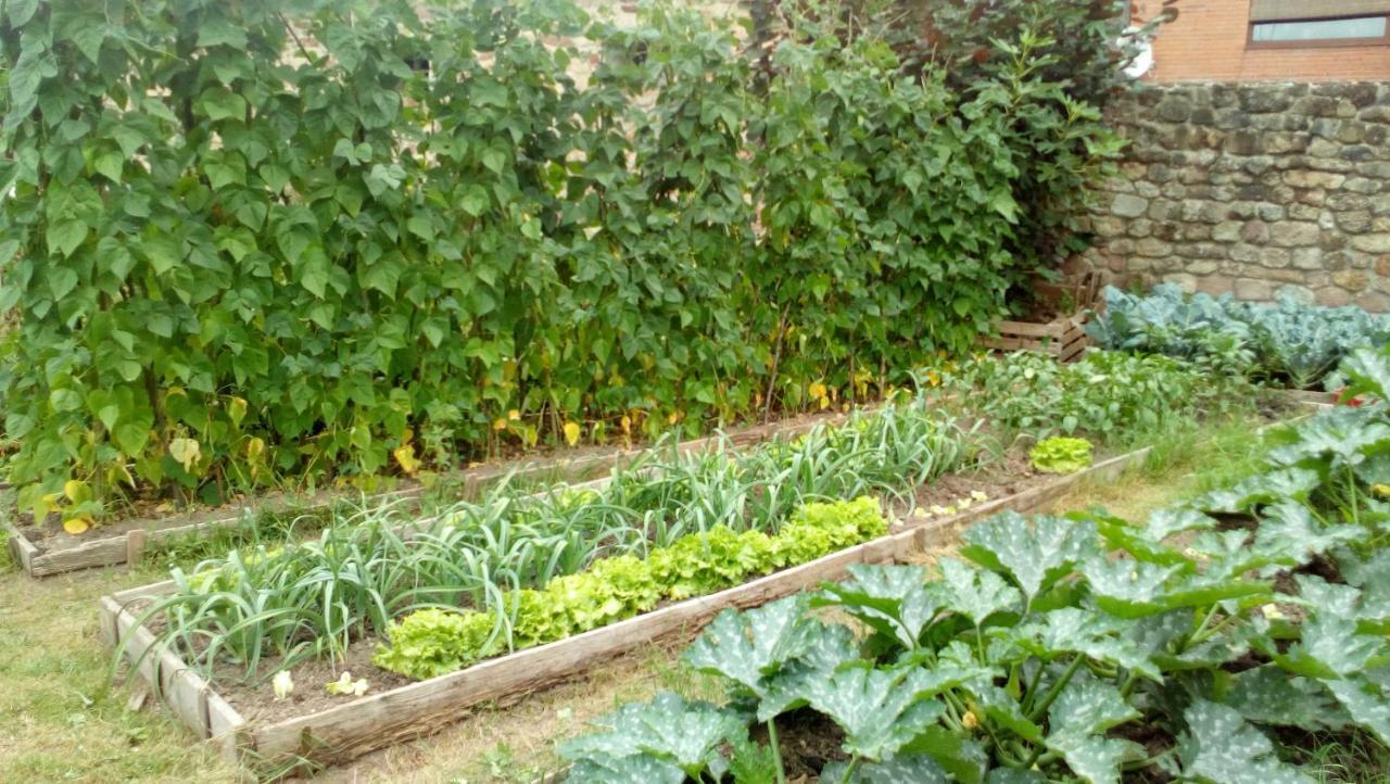 La Casa De Consuelo 3 Vendégház Viérnoles Kültér fotó