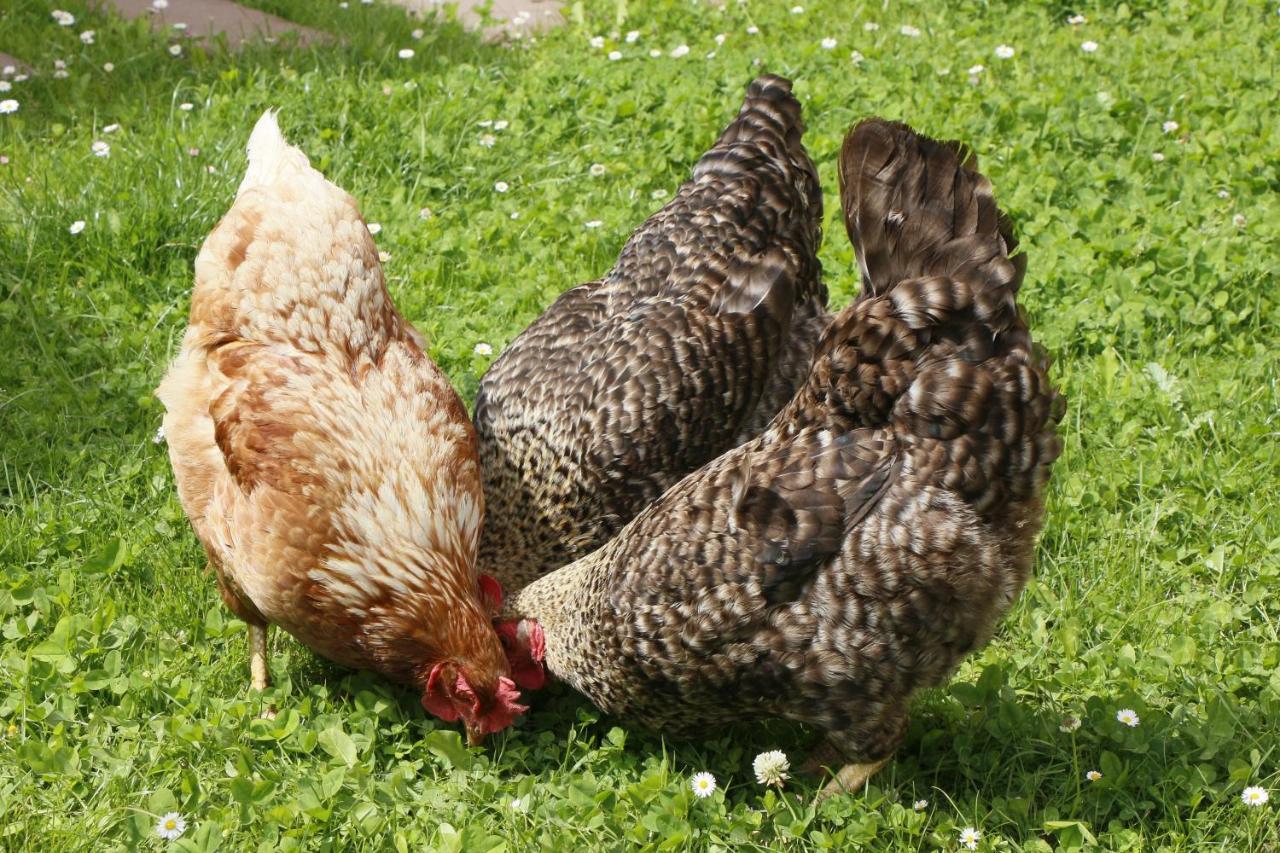 La Casa De Consuelo 3 Vendégház Viérnoles Kültér fotó