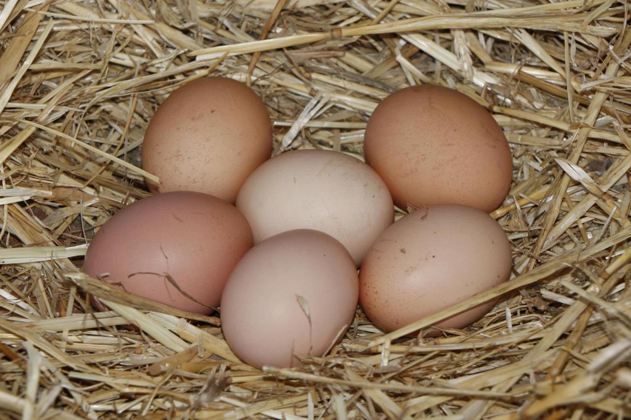 La Casa De Consuelo 3 Vendégház Viérnoles Kültér fotó