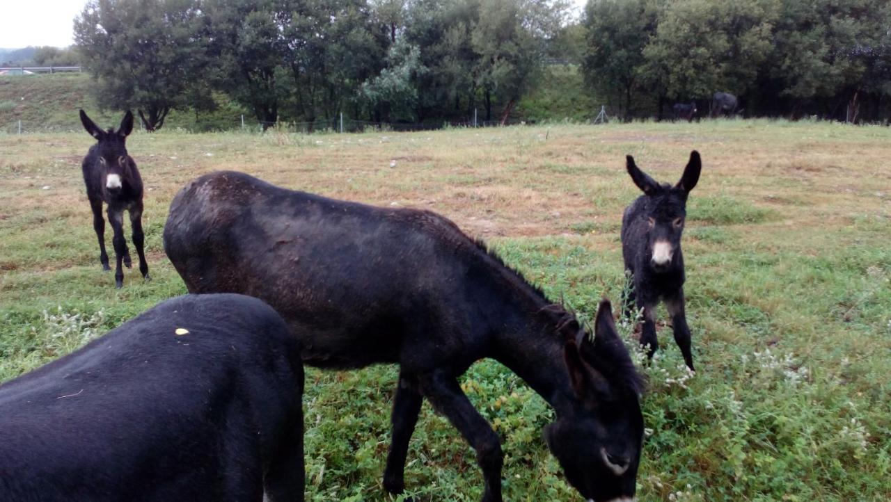 La Casa De Consuelo 3 Vendégház Viérnoles Kültér fotó