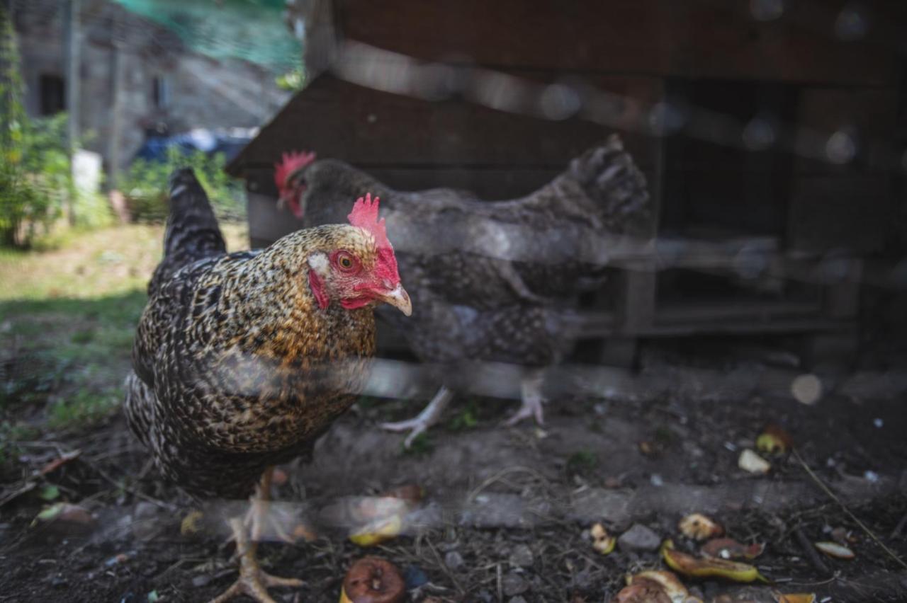 La Casa De Consuelo 3 Vendégház Viérnoles Kültér fotó