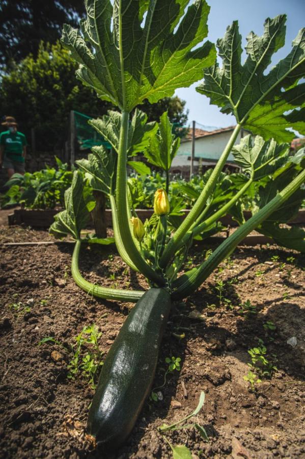La Casa De Consuelo 3 Vendégház Viérnoles Kültér fotó