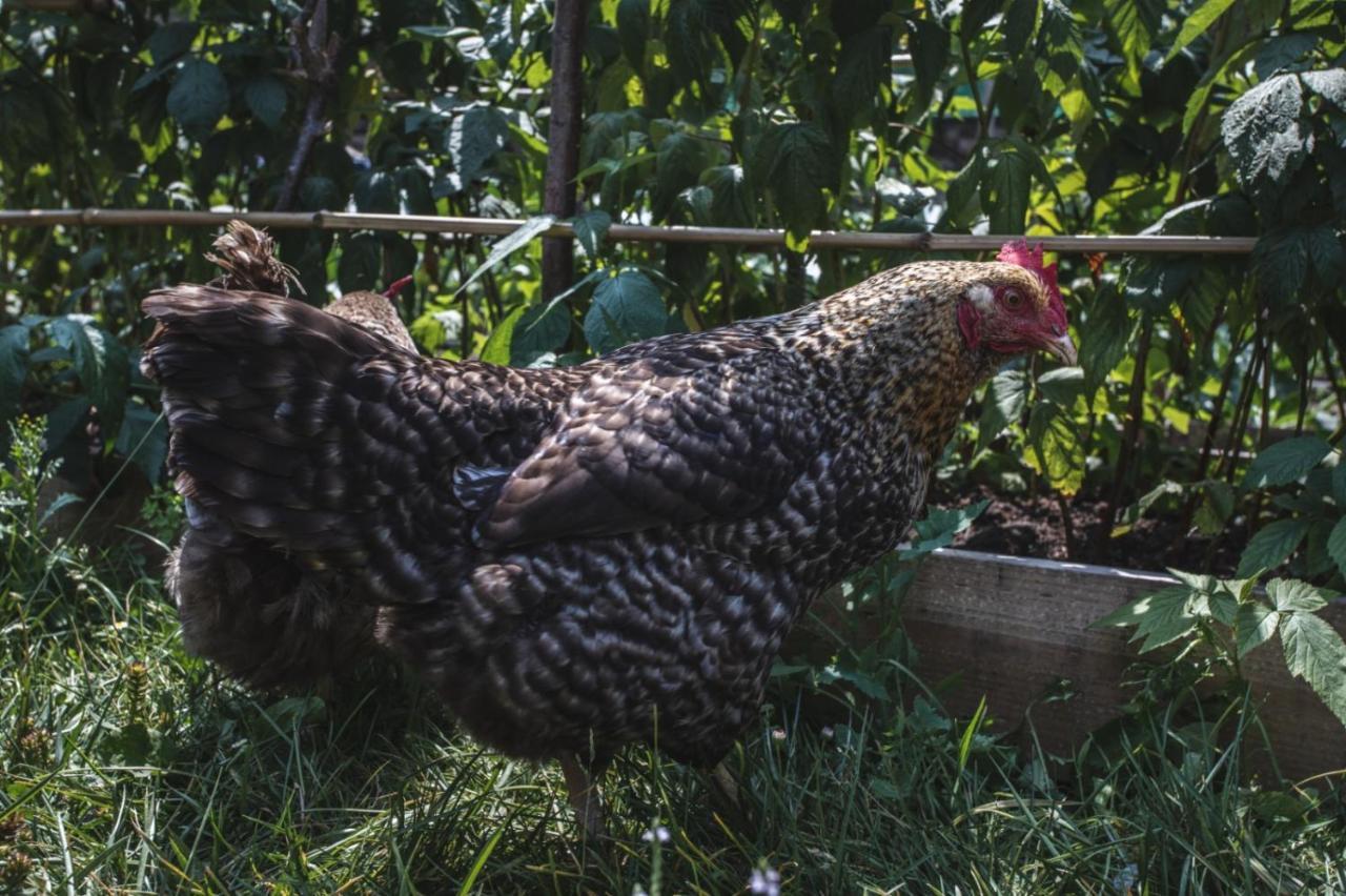 La Casa De Consuelo 3 Vendégház Viérnoles Kültér fotó